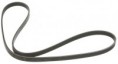 /products/correa-del-motor/